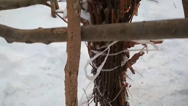 Солонец на зайца (эксперимент) смотреть онлайн