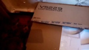 Обзор монитора Asus vs229