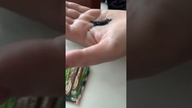 Базилик на подоконнике. Посадка базилика и сельдерея на рассаду. смотреть онлайн