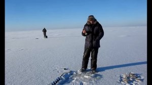 Окунь на блесну зимой на Рыбинке