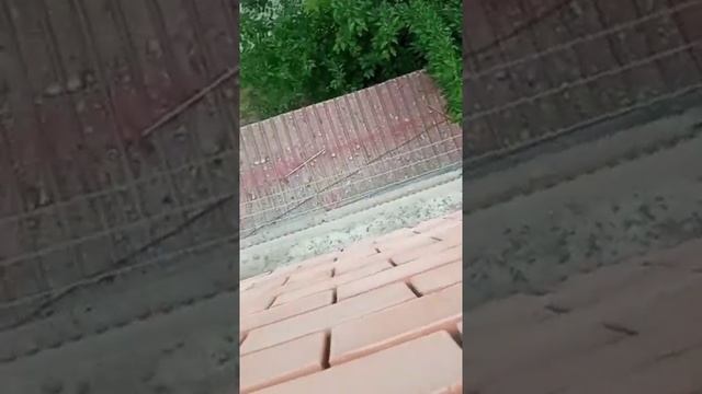 CHilonzor tumani 23-kvartal 5-dom 3-etaj