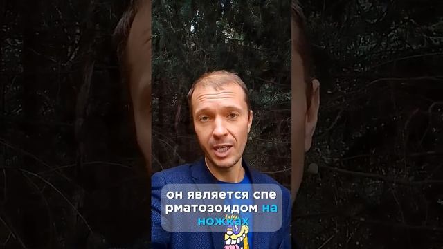 Кто Я мужчина?! Или горькая правда о себе любимом. смотреть онлайн