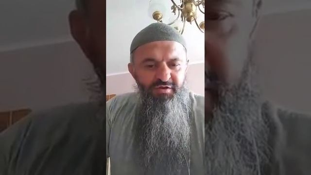 Извинения Шамиля Маликова.Таубу.