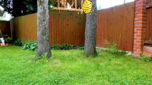 Дамик наряжается на диско вечеринку