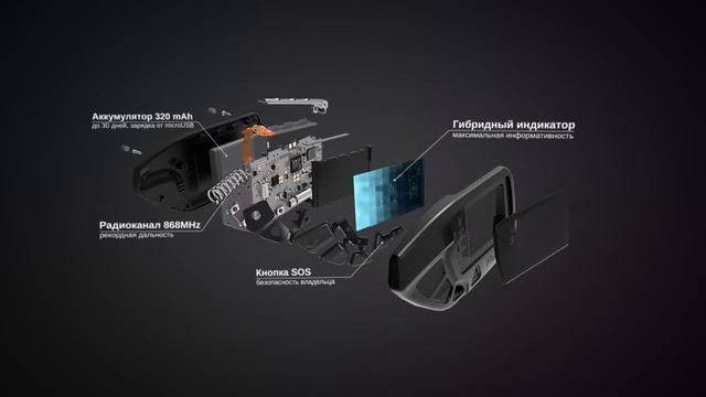 Брелок LCD DXL 650 black смотреть онлайн