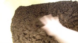 Ужасный грунт для посева семян!