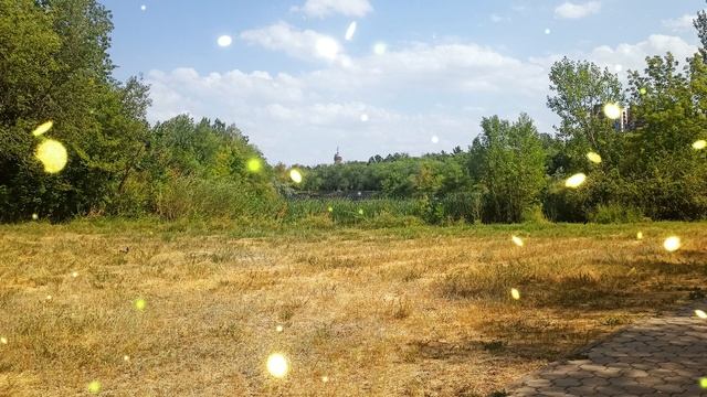 Свекровь приехала погостить и уже пару месяцев, как живет, и съезжать не собирается