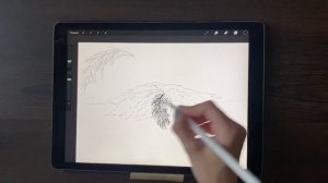 Как нарисовать можжевельник? Быстрый скетч и упор на графику