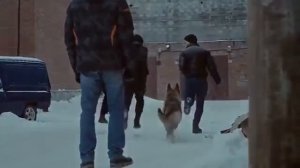 Социальный ролик “Хорошие поступки“.