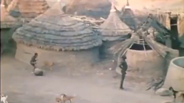 Nik Grey "Нуба" смотреть онлайн