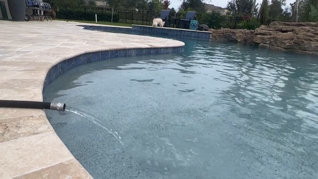 Cost To Build a Pool Florida Edition | Amy Kidwell | Construction Costs | Winter Garden, FL смотреть онлайн