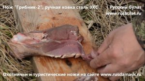 Русский булат. Нож "Грибник-2, ручная ковка сталь 9ХС