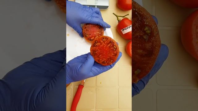 ДЕГУСТАЦИЯ ТОМАТОВ  2022г. Новинки, которые заслуживают внимания! #помидоры#семенатоматов