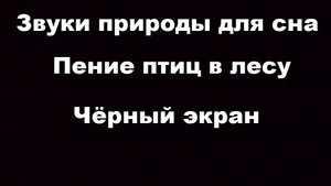 Звуки природы для сна Пение птиц в лесу Шум дождя Чёрный экран