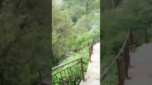 Ташкентская область, город Янгиабад 27.04.2022г.