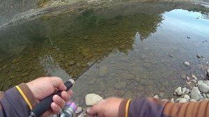 Ловля голавля на спиннинг на реке Краснодарского края