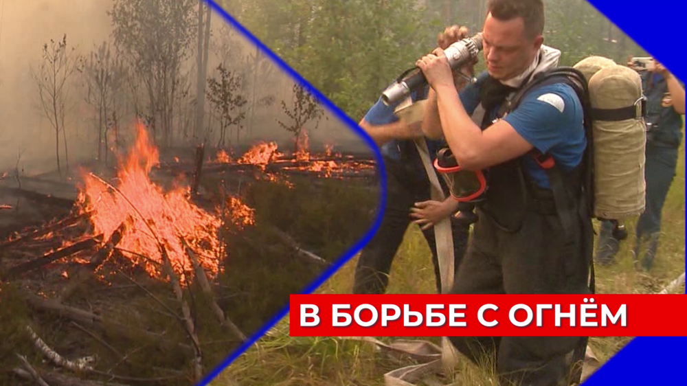 Карта пожаров в нижегородской области