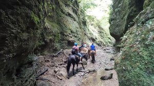 Конная прогулка в ущелье