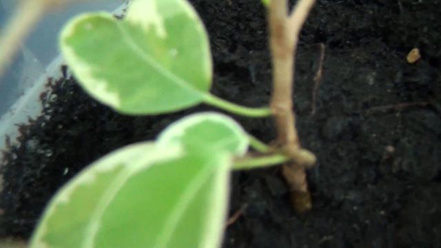 00429 смотреть онлайн