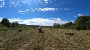 На ЭТО можно смотреть ВЕЧНО! Такого СЕНОКОСА У НАС ЕЩЕ НЕ БЫЛО. ЗАГОТОВИЛИ ЛЮЦЕРНУ.