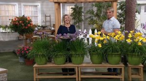 Cottage Farms 6-Piece Millenium Magic Summer Garden on QVC