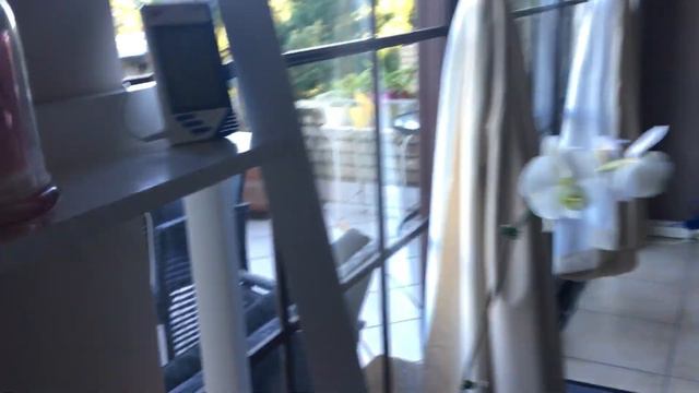 How to induce a flower spike in Phalaenopsis Orchids смотреть онлайн