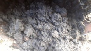 Биогаз Что внутри бочки реактора.