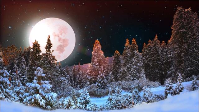 Зимний лес 2 - (футаж) смотреть онлайн