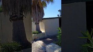 PALM WORLD Resort&spa side обзор туриста