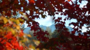 Beatles Golden Slumbers Cover with Gretchin