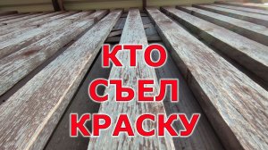 Куда делась краска. Красим сарай. Защищаем древесину.