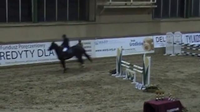 Eustoma Wola 2012 12 01 19 04 14 смотреть онлайн