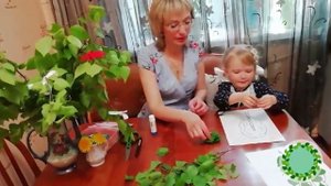 Открытка на Троицу