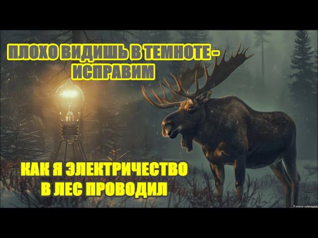 ЛОСИ на солонеце . МАЙ не повод сидеть дома. смотреть онлайн