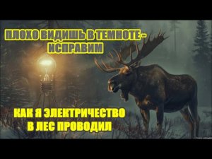 ЛОСИ на солонеце . МАЙ не повод сидеть дома.