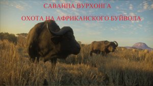 The Hunter Call of the Wild: Охота на Африканского буйвола. Часть 1