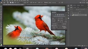 Class 15 - Image Retouching: Clone Stamp Tool, Pattern Stamp Tool - Adobe Photoshop 2021 Tutorial