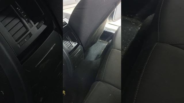 комплексная мойка авто и удаление битума Кривой Рог SKODA OCTAVIA #автомойка смотреть онлайн