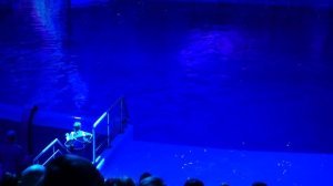 Три дня в Москве. День второй.ВДНХ, Москвариум.