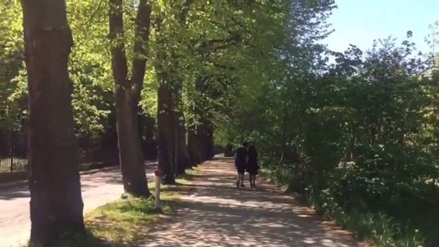 Самому лучшему папе Коле 21Мая смотреть онлайн