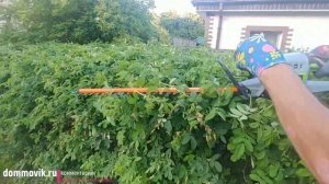 Workpro аккумуляторный кусторез: в действии