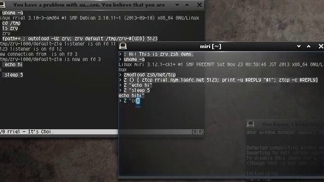 zrv.zsh смотреть онлайн