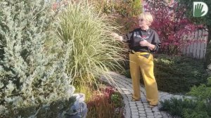 Видео журнал "СОФ №116" Возвращение в МАЛЕНЬКИЙ САД. Красиво, уютно и профессионально.