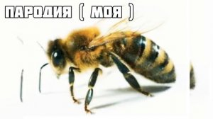 Сделал Пародию На Песню "А Муха Тоже Вертолет" | Нас Уже 100...