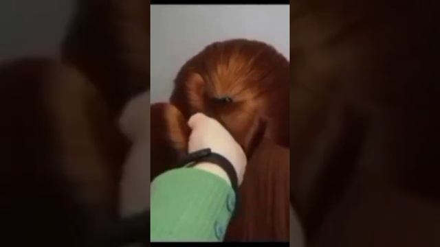 Очень простая и стильная причёска. #красивыеволосы #волосы#причёскабант#причёскидлядевочек