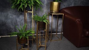 Подставки для цветов в стиле Лофт ✔️ Цветочницы в дом от Garden zoo