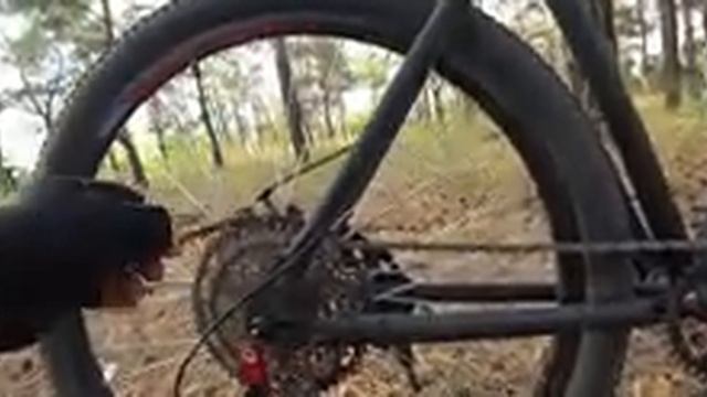 Вилка MOSSO опыт эксплуатации спустя два года. Трансмиссия 1х9. смотреть онлайн