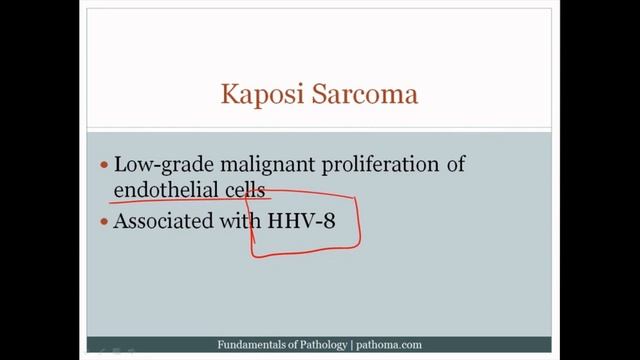 Pathoma USMLE - VII ГЛАВА - 5.