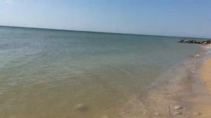 Медузы в Азовском море | Нашествие медуз на пляже