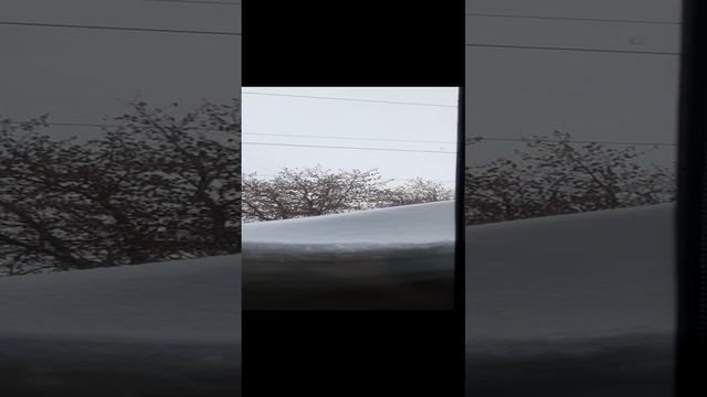 ПроНеобычное.После циклона 'Ваня'.mp4